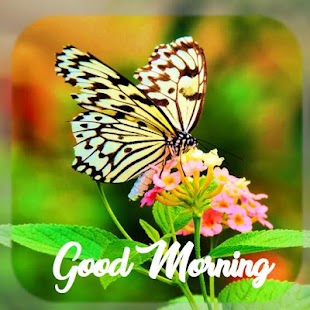 Dobré ráno denně pozdravy - náhled