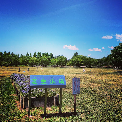 芝生広場／七北田公園