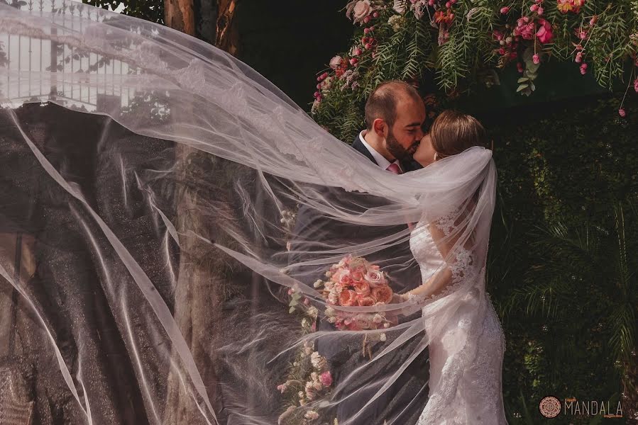 Fotógrafo de bodas Vanessa Sanches (mandala). Foto del 17 de agosto 2021