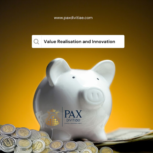 Transforming budget optimisation into an adventure of discovery and strategic insight.