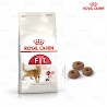 Royal Canin Fit32 - Thức Ăn Hạt Cho Mèo Cat Food