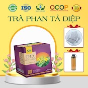 Trà Phan Tả Diệp Giúp Giảm Cân, Nhuận Tràng Hộp 30 Túi Lọc X3Gr Siêu Thị Thiên Nhiên