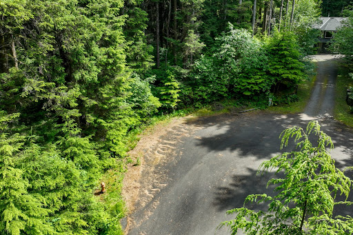 Terrain 4
