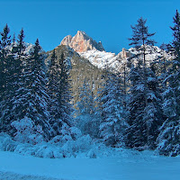 Valle tra le Dolomiti bellunesi di 