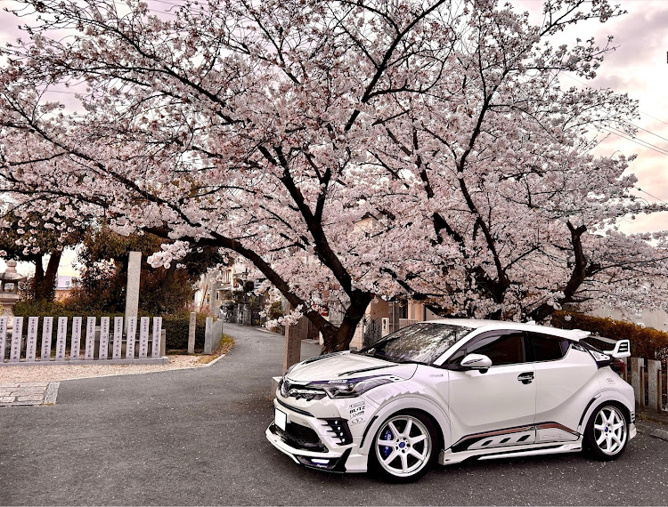 C-HRのいつも いいね､コメントありがとうございます｡・beyond_suv・discover＿ct・スマホで頑張る・サクラと愛車に関するカスタム事例の投稿画像1枚目