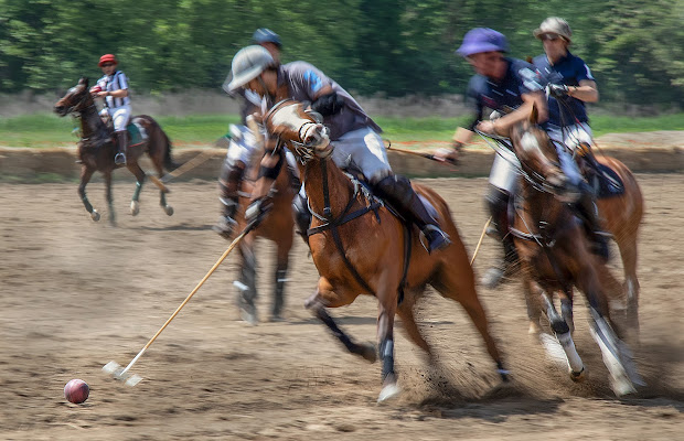 Polo di RobertaSilvestro