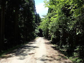 下までは比較的良い道