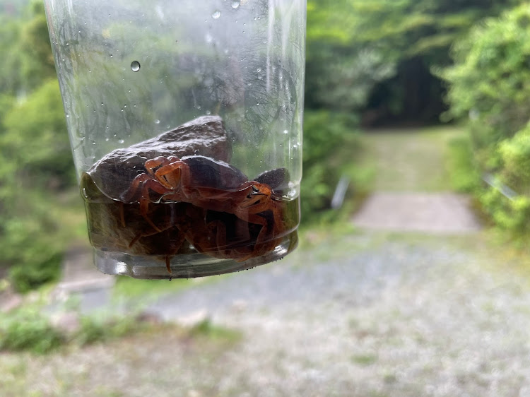 ステージアのBBQオフに関するカスタム事例の投稿画像3枚目
