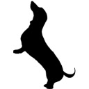 Dog on Demand Chrome extension download