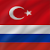 Turkish  icon