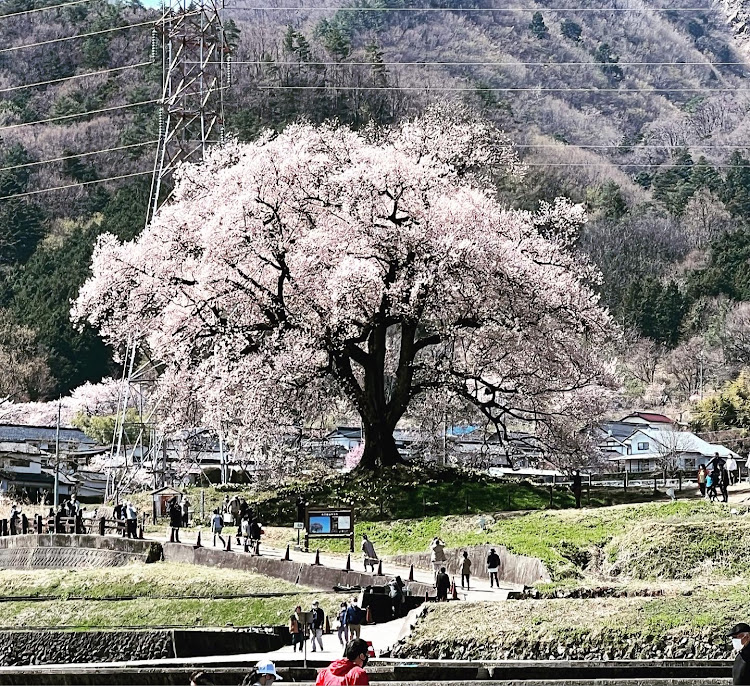 の投稿画像3枚目