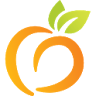 Peach State Health Plan icon