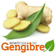 Os Benefícios do Gengibre para sua Saúde 3.0 Icon