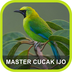 Masteran Cucak Ijo Terlengkap.apk 1.4
