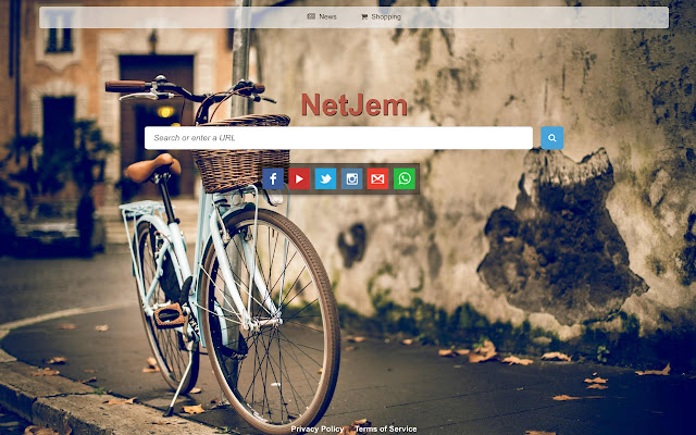 NetJem -Custom Web Search