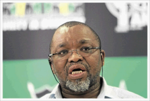 BLAMED: Gwede Mantashe