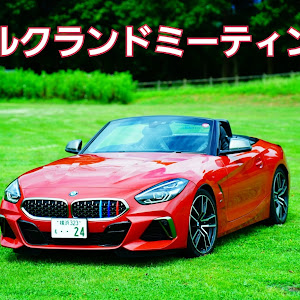 Z4