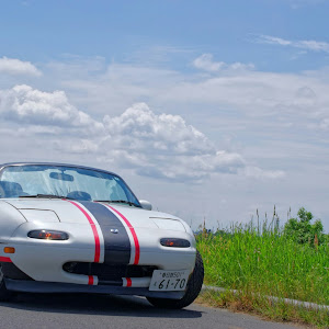 ロードスター NA8C