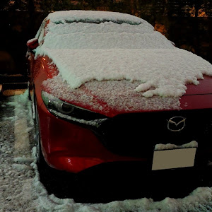 MAZDA3 BPFP