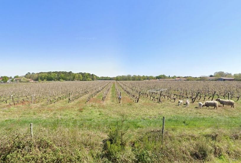  Vente Terrain + Maison - Terrain : 1 340m² - Maison : 120m² à Cissac-Médoc (33250) 