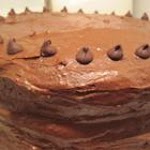 Chocolate Cream Frosting was pinched from <a href="http://allrecipes.com/Recipe/Chocolate-Cream-Frosting/Detail.aspx" target="_blank">allrecipes.com.</a>