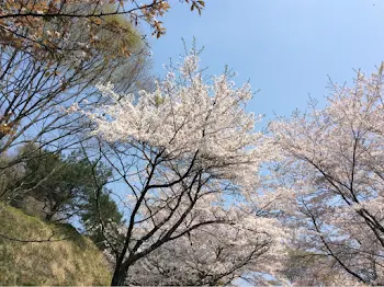 嫉妬ちゃんへ！♡