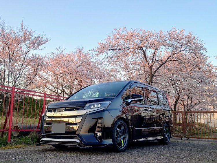 ノアの新潟・サクラと愛車・桜とコラボ・レイズ　グラムライツ57CR・仕事帰りの寄り道に関するカスタム事例の投稿画像3枚目