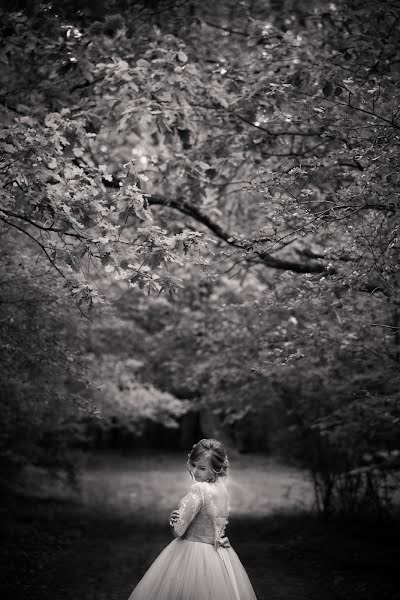 Bryllupsfotograf Bogdan Mikhalevich (mbphoto). Foto fra juli 18 2017