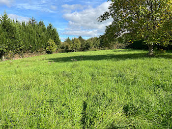 terrain à Luxeuil-les-Bains (70)