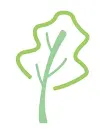 Sequoia Tree Services Ltd Logo