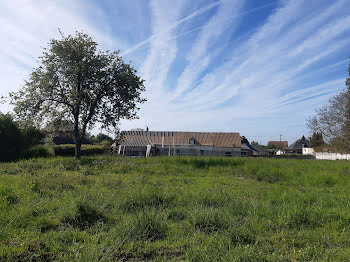 terrain à batir à Notre-Dame-du-Parc (76)