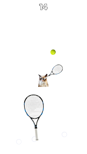 Screenshot Cat Tennis: Battle Meme