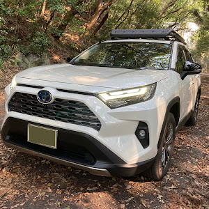 RAV4 AXAH54