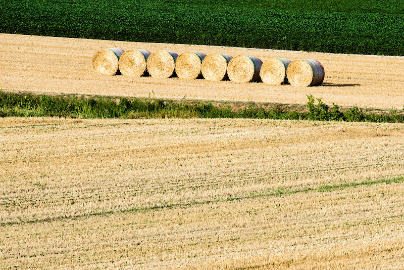 Linee oblique di un inizio estate di mtre