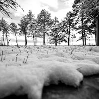 Neve in primo piano di 