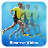 Reverse Video icon