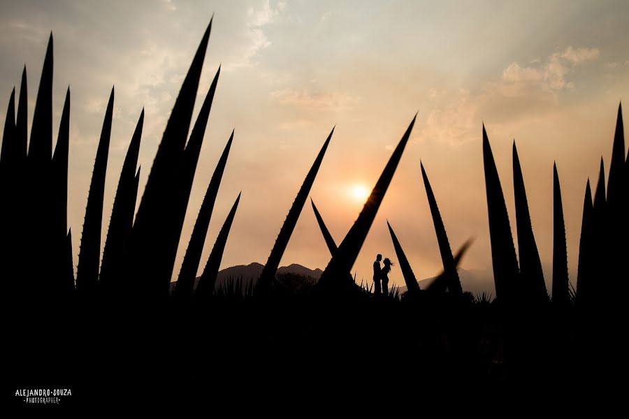 Photographer sa kasal Alejandro Souza (alejandrosouza). Larawan ni 10 Nobyembre 2017