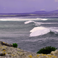 Onde oceaniche di 