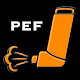 PEF Log - asthma tracker Download on Windows