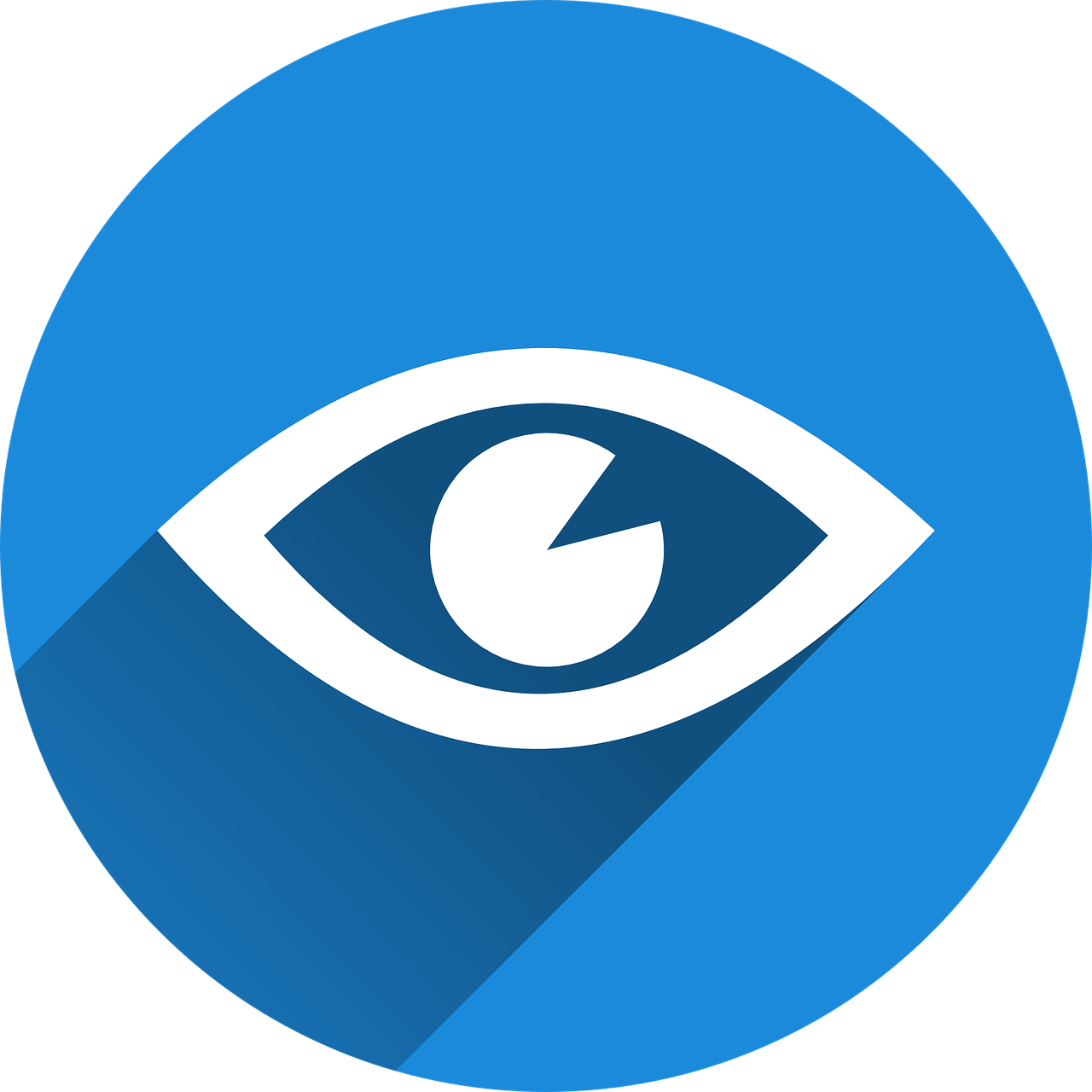 eye-1103593_1280.png