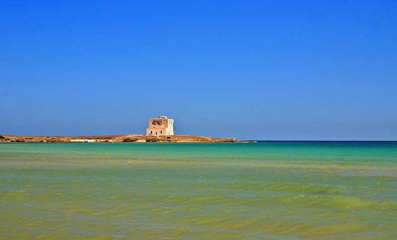 La bellezza della riserva di Torre Guaceto di Luciano Fontebasso