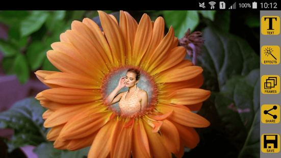 Sunflower Photo Frames(圖3)-速報App