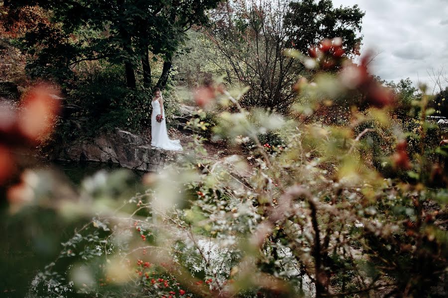 Wedding photographer Denis Polulyakh (poluliakh). Photo of 23 January 2017