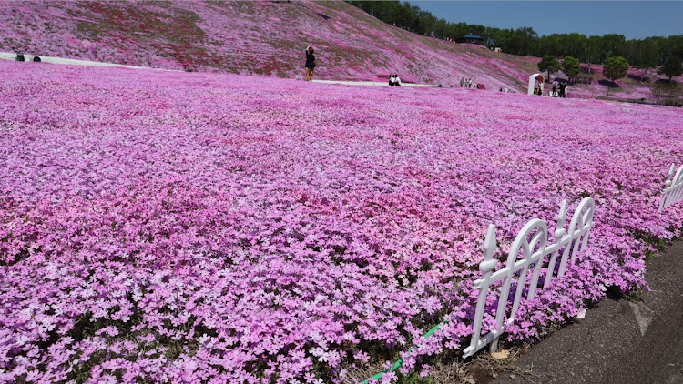 の投稿画像1枚目