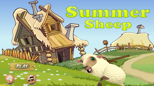 Summer Sheep