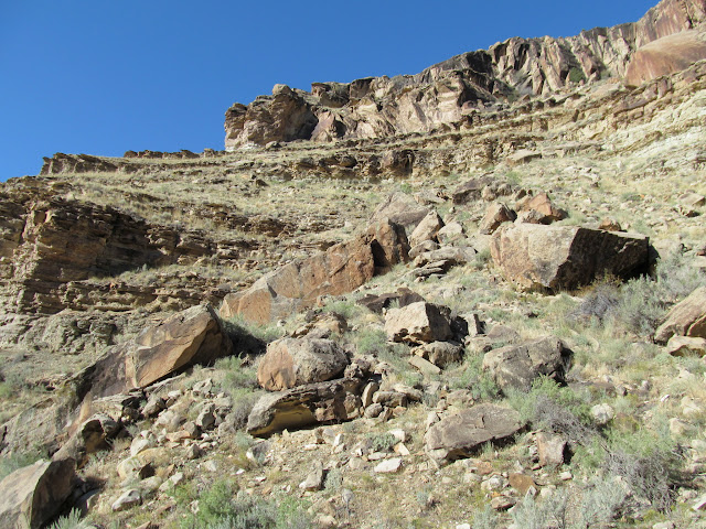 A steep, rocky hillside; I climbed to the base of the cliff in the upper-left