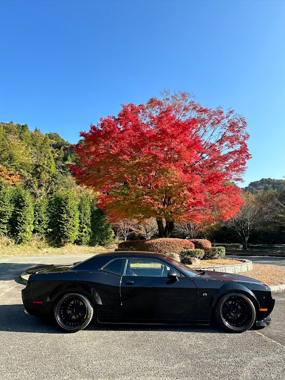 チャレンジャーの紅葉・ダッジ・アメ車・チャレンジャー・CHALLENGERに関するカスタム事例の投稿画像2枚目