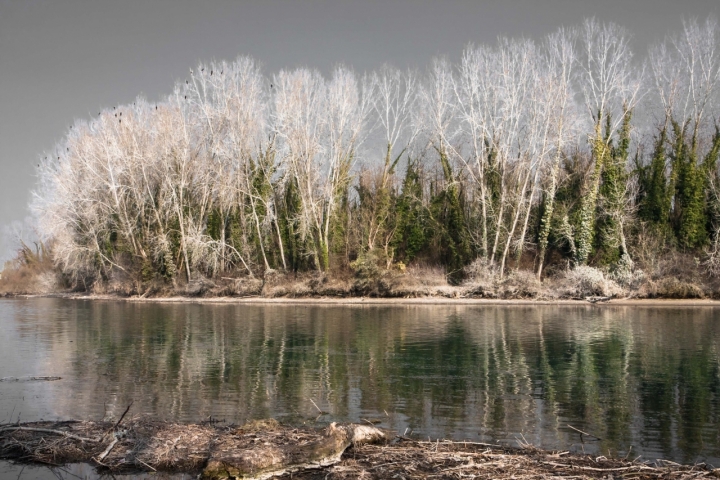 Senza titolo di MicheleFaggian