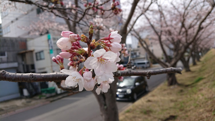 の投稿画像2枚目