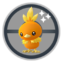 Torchic